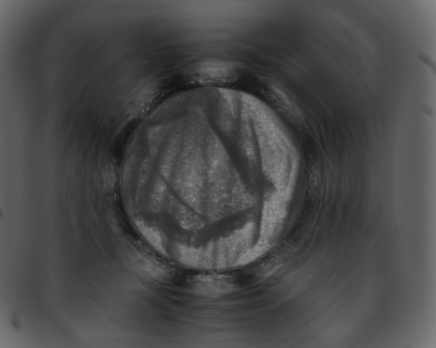 X0000095690367200801221252