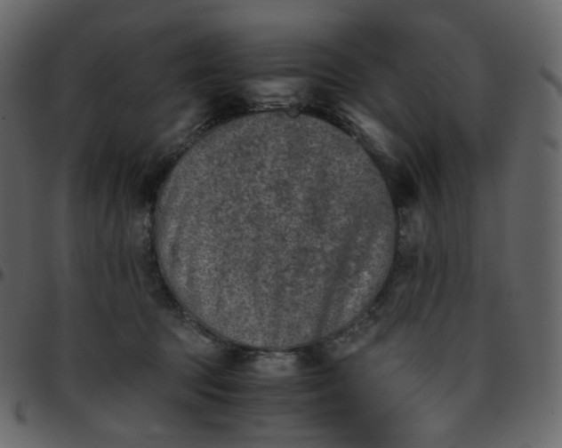 X0000095690369200801221252