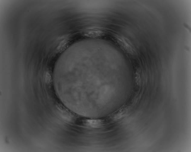 X0000095690371200801221252