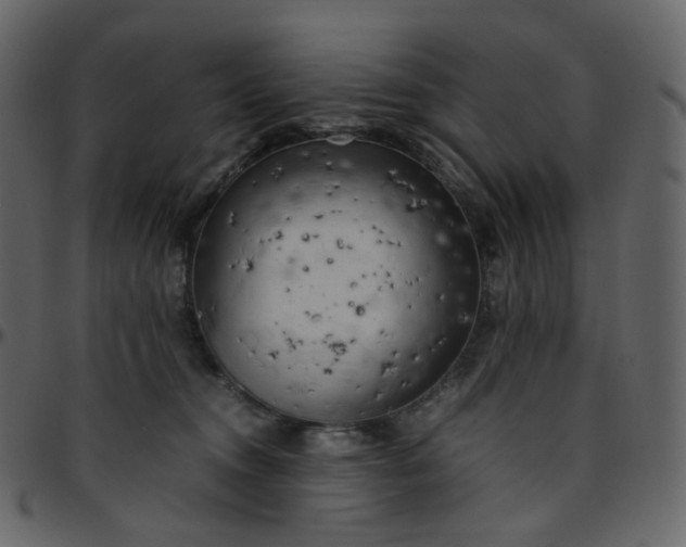 X0000095690372200801221252