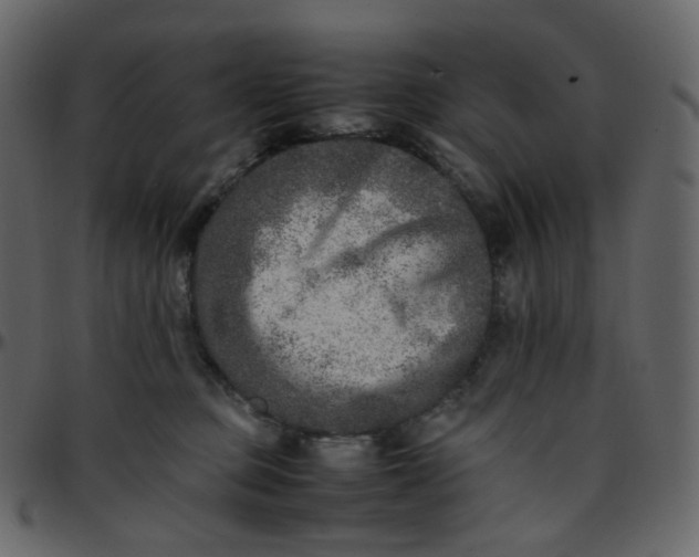 X0000095690373200801221252