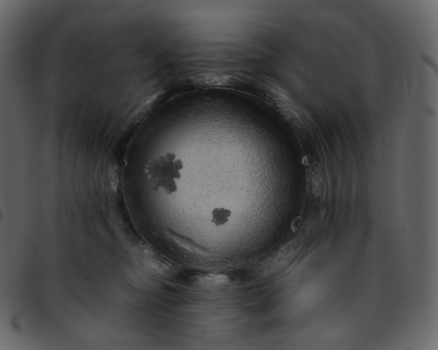 X0000095690374200801221252