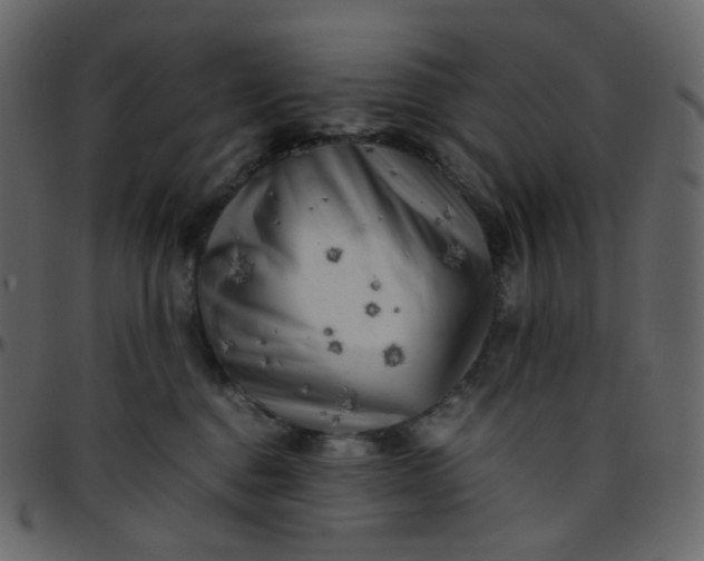 X0000095690376200801221252