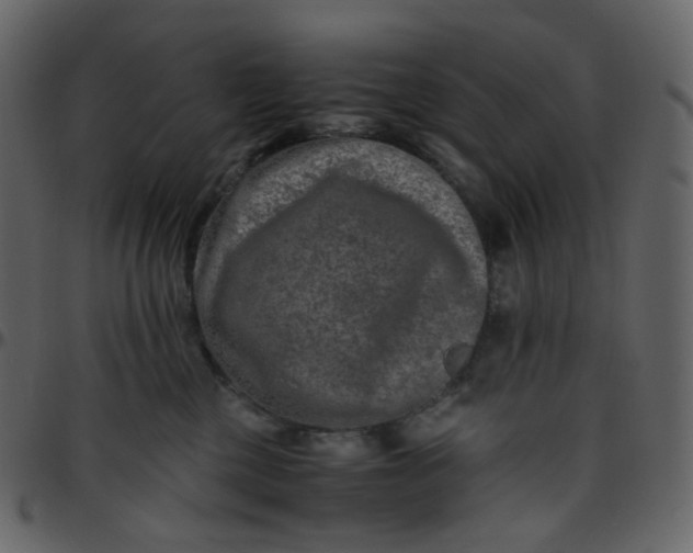 X0000095690377200801221252