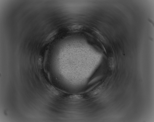 X0000095690378200801221252