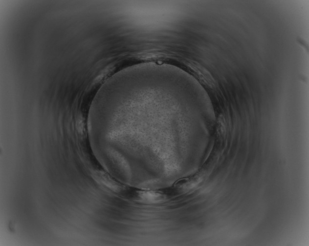 X0000095690380200801221252