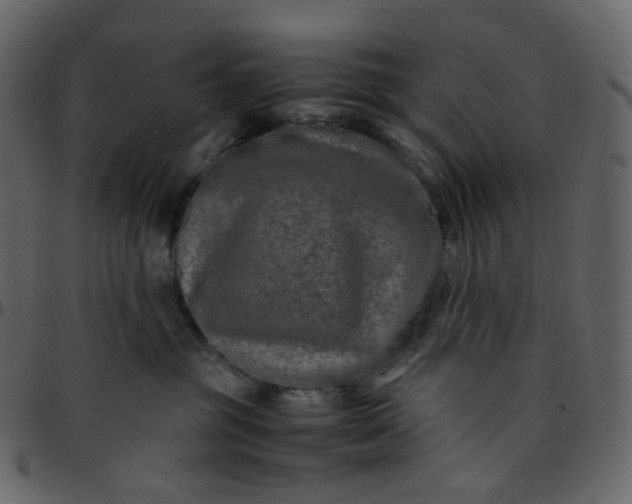 X0000095690381200801221252