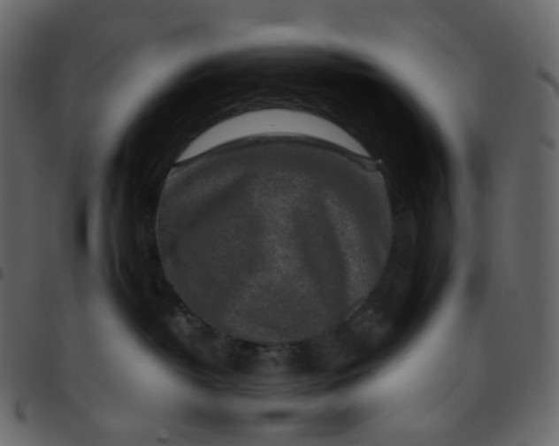 X0000095690382200801221252