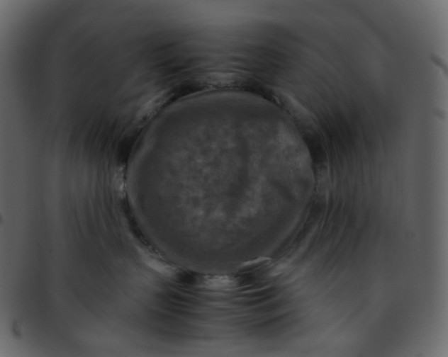 X0000095690383200801221252