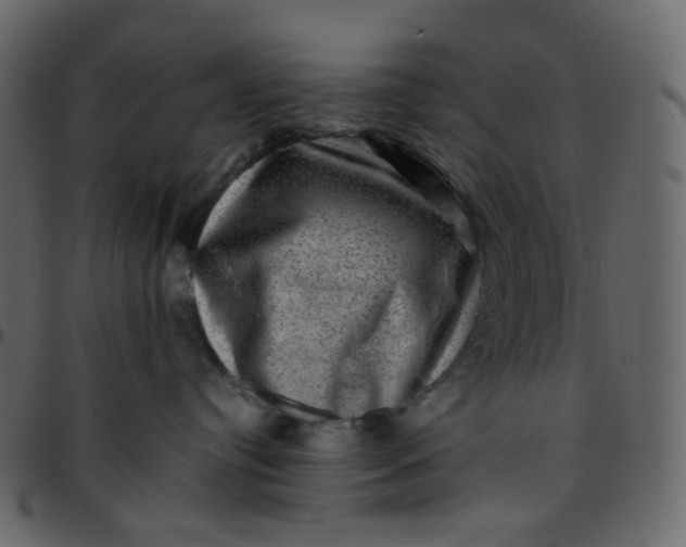 X0000095690384200801221252