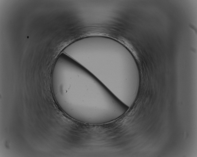 X0000095690385200801221252