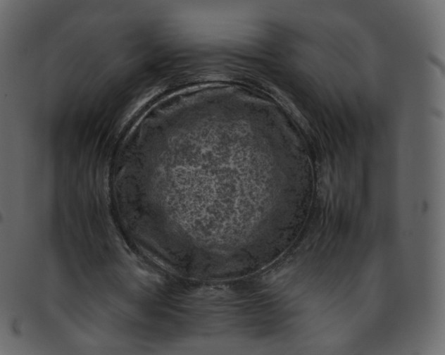 X0000095690386200801221252