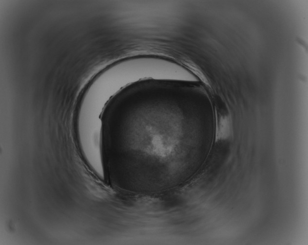 X0000095690387200801221252