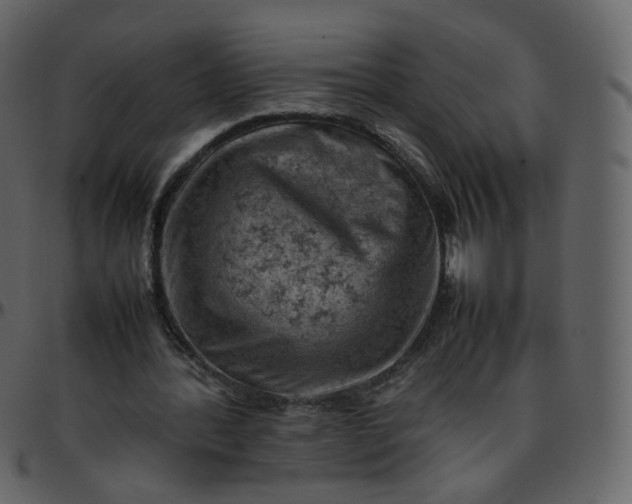 X0000095690388200801221252