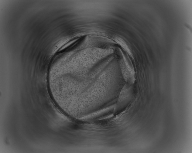 X0000095690389200801221252