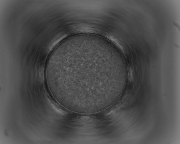 X0000095690390200801221252