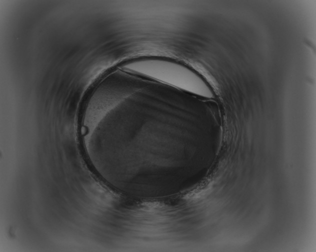 X0000095690391200801221252