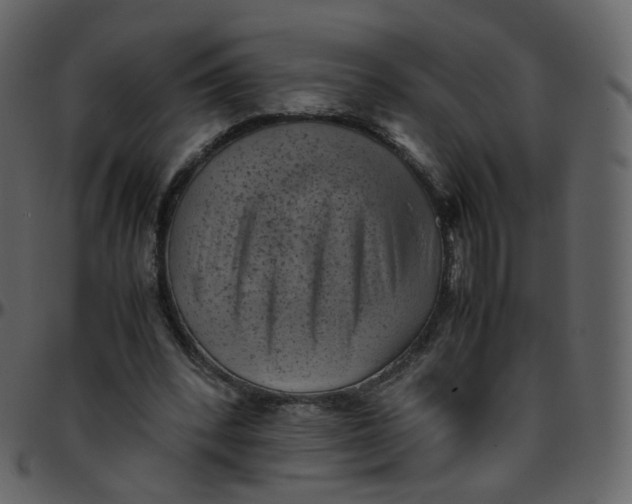 X0000095690392200801221252