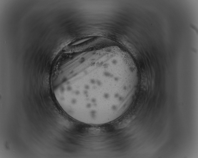 X0000095690394200801221252