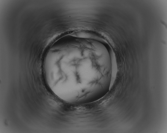 X0000095690395200801221252