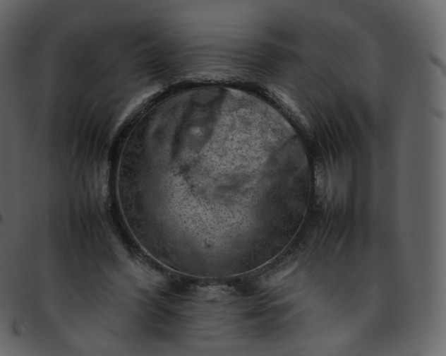 X0000095690396200801221252