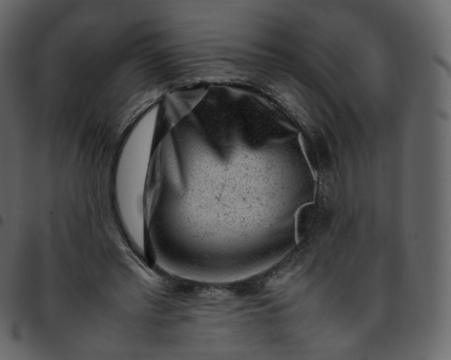 X0000095690397200801221252