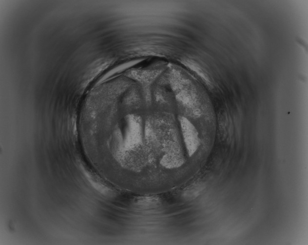 X0000095690398200801221252