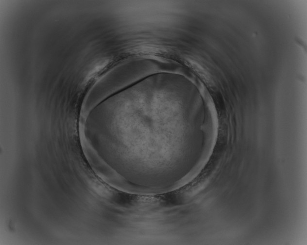 X0000095690399200801221252