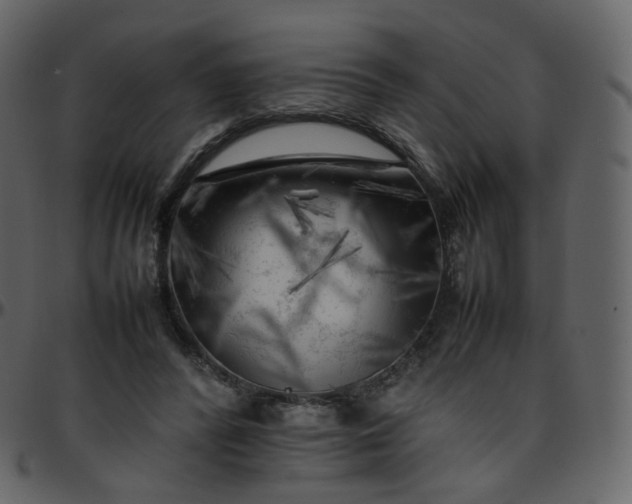 X0000095690400200801221252