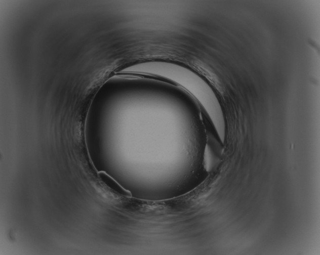 X0000095690401200801221252