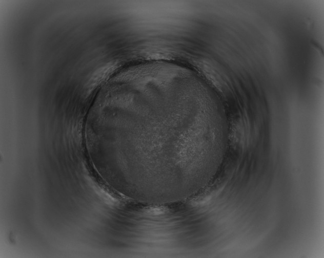 X0000095690402200801221252