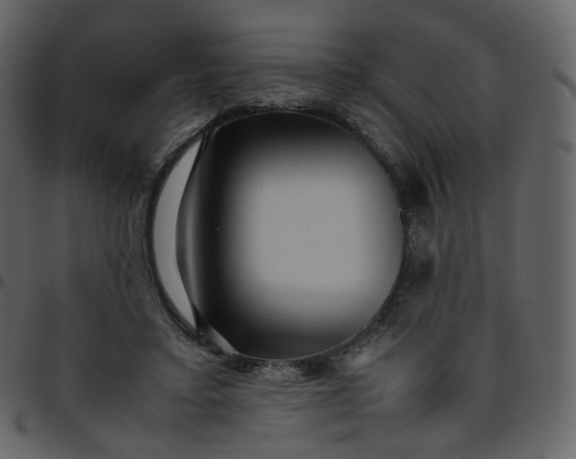 X0000095690403200801221252