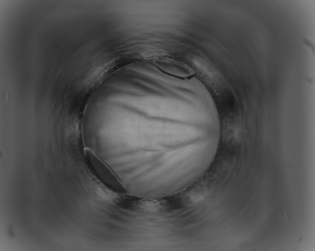 X0000095690405200801221251