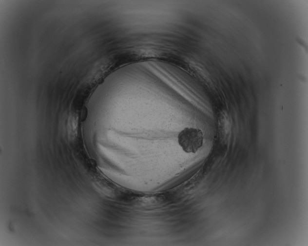 X0000095690406200801221251