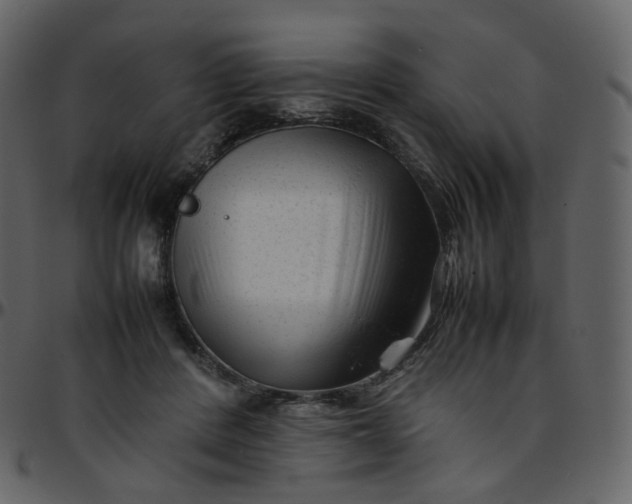 X0000095690408200801221251