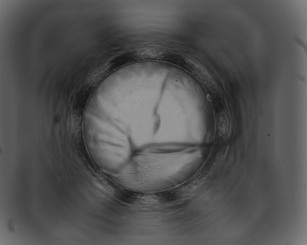 X0000095690409200801221251