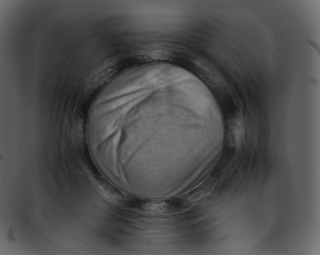 X0000095690410200801221251