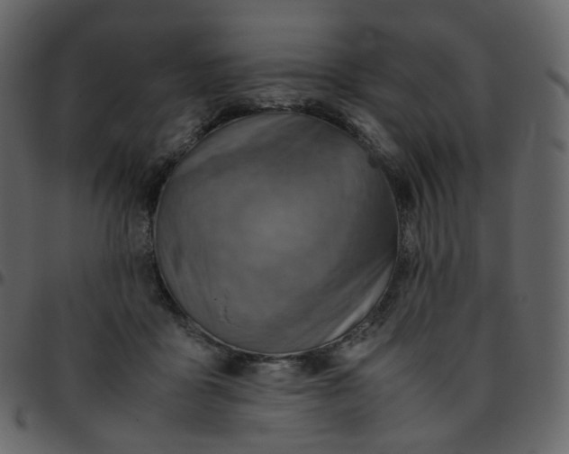 X0000095690411200801221251