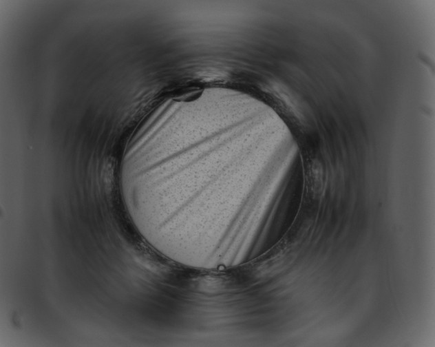 X0000095690412200801221251