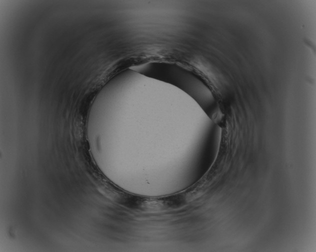 X0000095690413200801221251