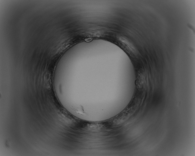 X0000095690414200801221251