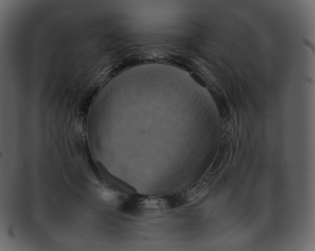 X0000095690415200801221251