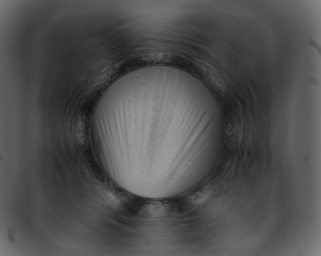 X0000095690416200801221251