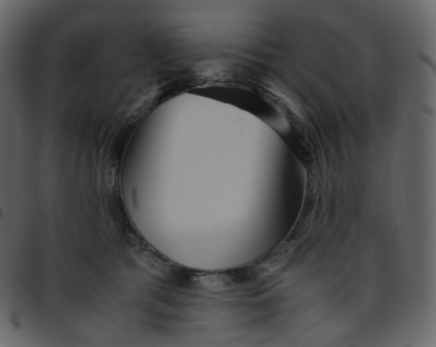 X0000095690417200801221251