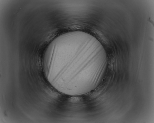 X0000095690418200801221251