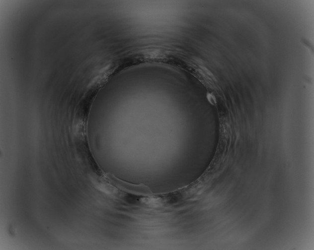 X0000095690419200801221251