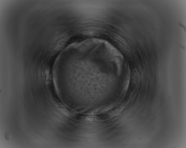 X0000095690420200801221251