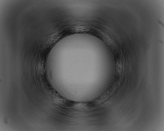 X0000095690422200801221251