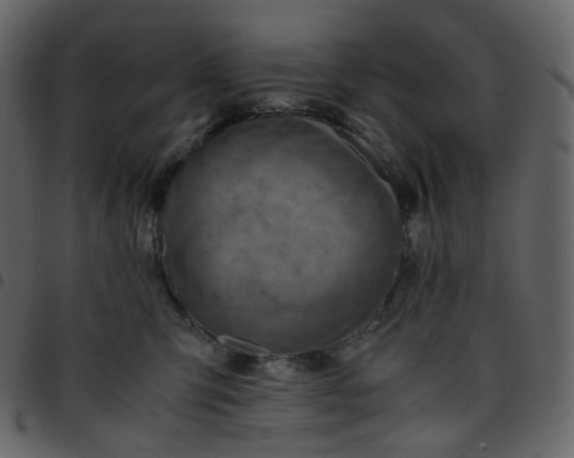 X0000095690423200801221251