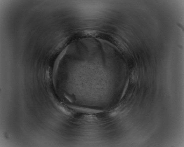 X0000095690424200801221251